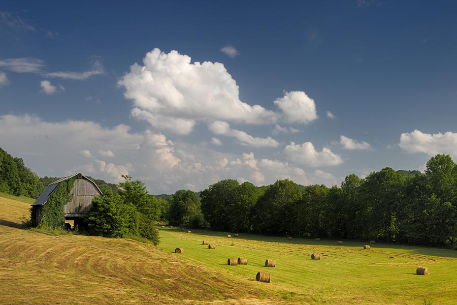 About Our Agency - a Sloping Green Pasture With Hay Bales Scattered About Sits Under a Blue Sky With White Puffy Clouds, a Wooden Barn Nearby