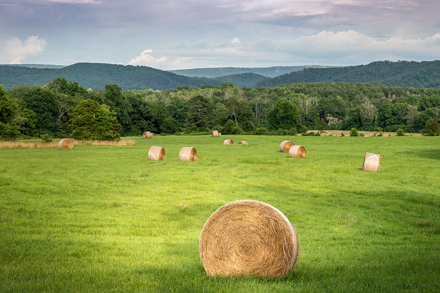 Specialized Business Insurance - Hay Bales Sit in a Soft Green Field as Clouds Roll by Over the Green Hills of Tennessee